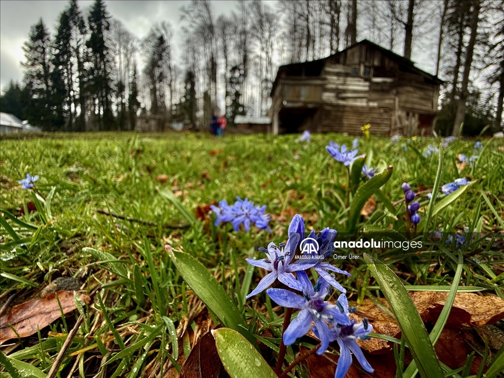 Düzce'deki yaylalar, kışın ve ilkbaharın izlerini taşıyor