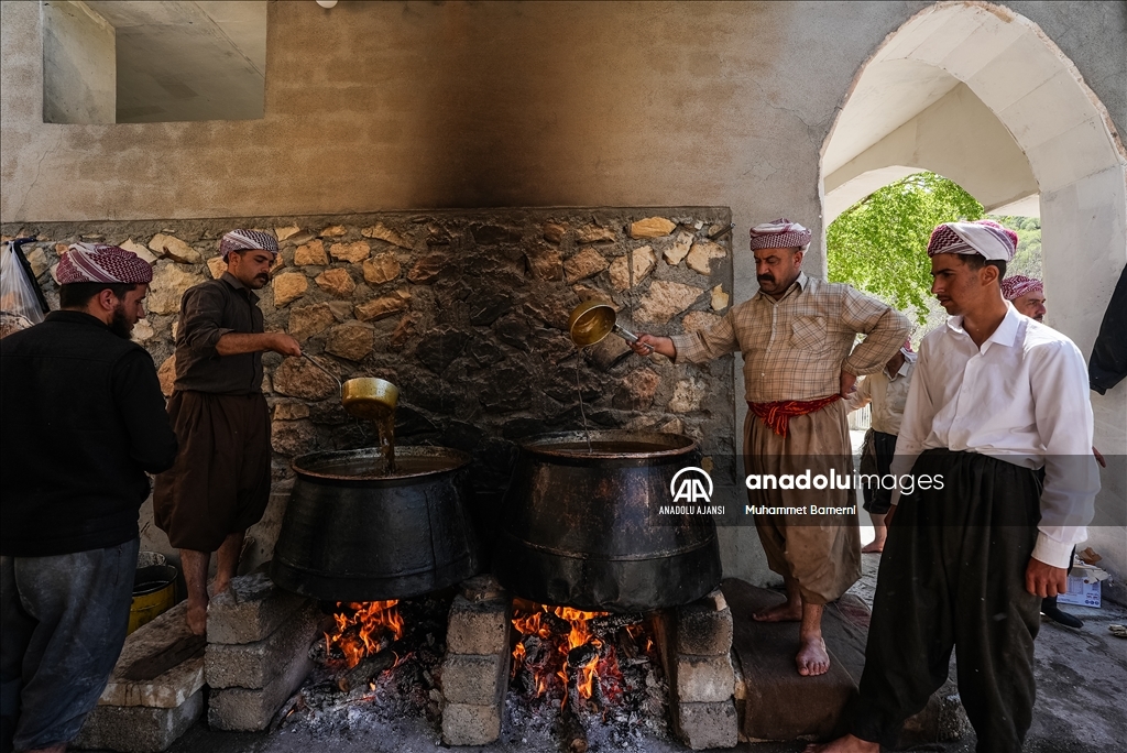Laleş Tapınağı’nda zeytin hasadı