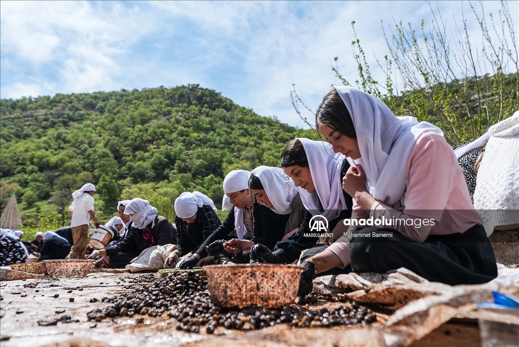 بەڕێوەچوونى ڕێوڕەسمی دروستکردنی زەیتی زەیتون لە پەرستگای لالش