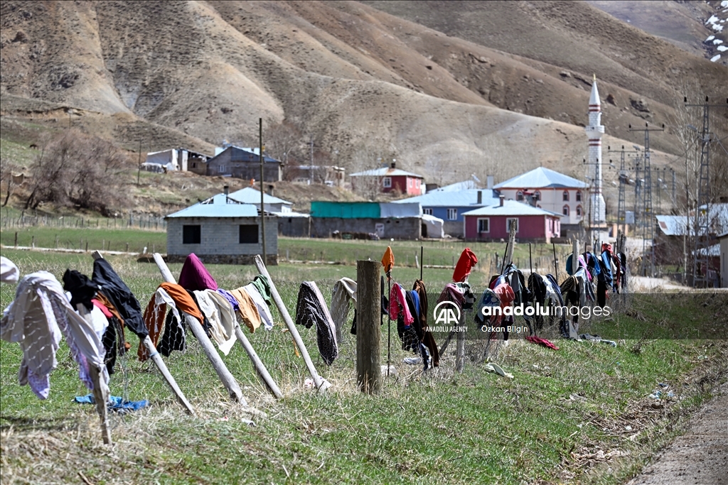 Li Wanê heywandaran piştî zivistaneke dijwar pezên xwe berdan çolê