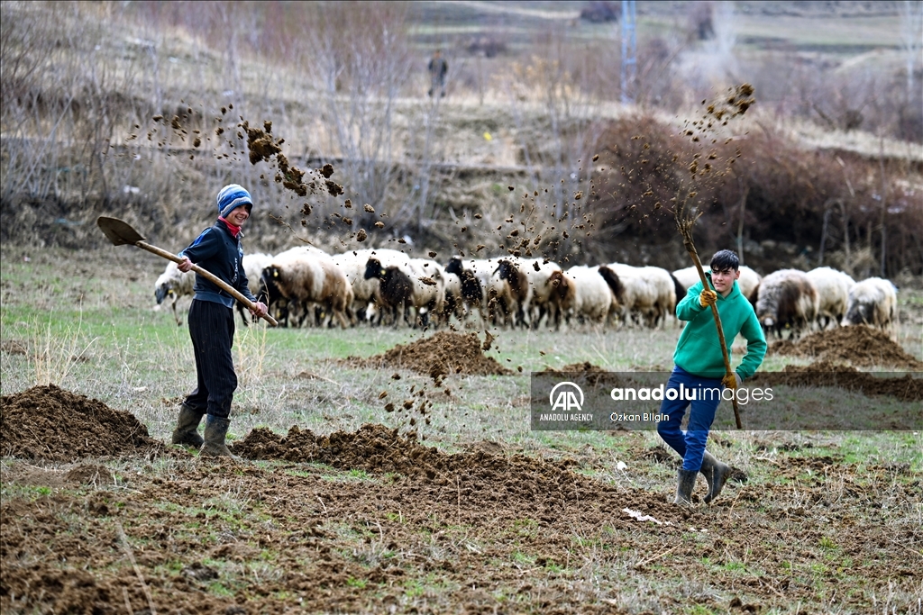 Li Wanê heywandaran piştî zivistaneke dijwar pezên xwe berdan çolê