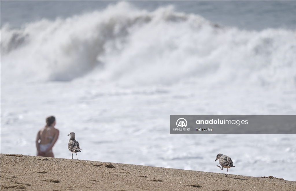 Назаре: будни города с самыми большими волнами