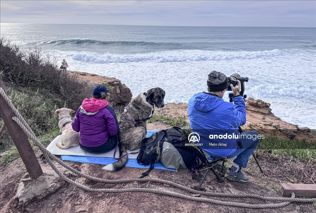 Назаре: будни города с самыми большими волнами