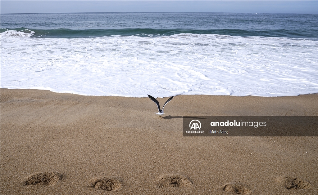 Назаре: будни города с самыми большими волнами