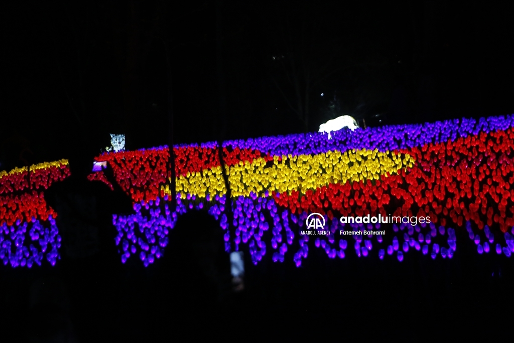 В Тегеране прошел «Фестиваль огней»