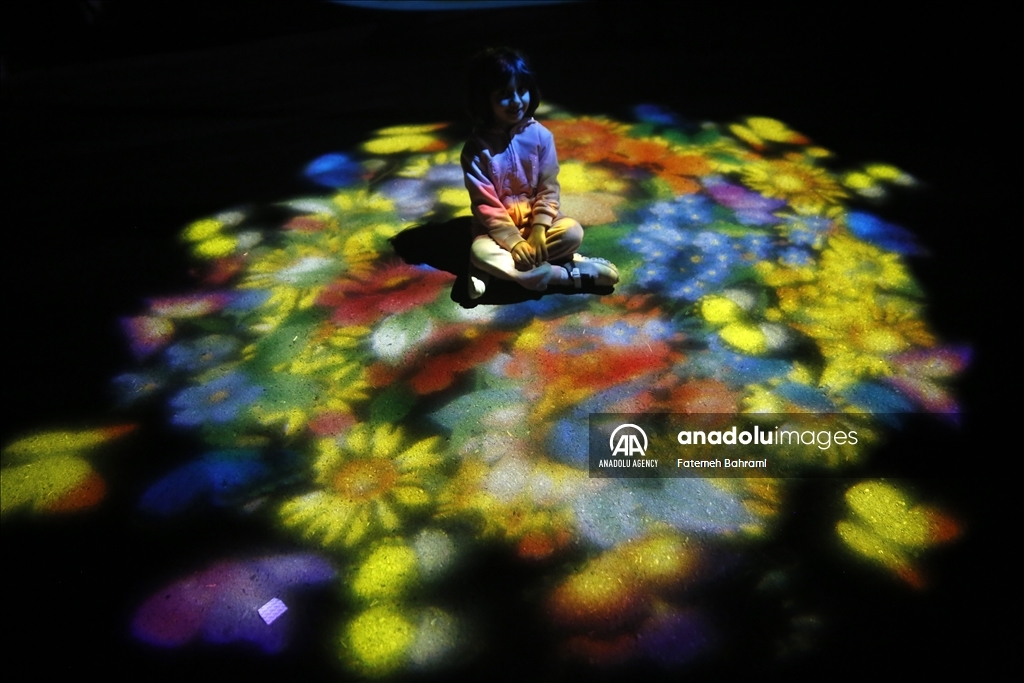 В Тегеране прошел «Фестиваль огней»