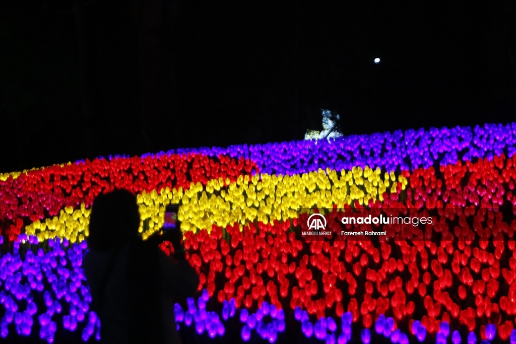 В Тегеране прошел «Фестиваль огней»