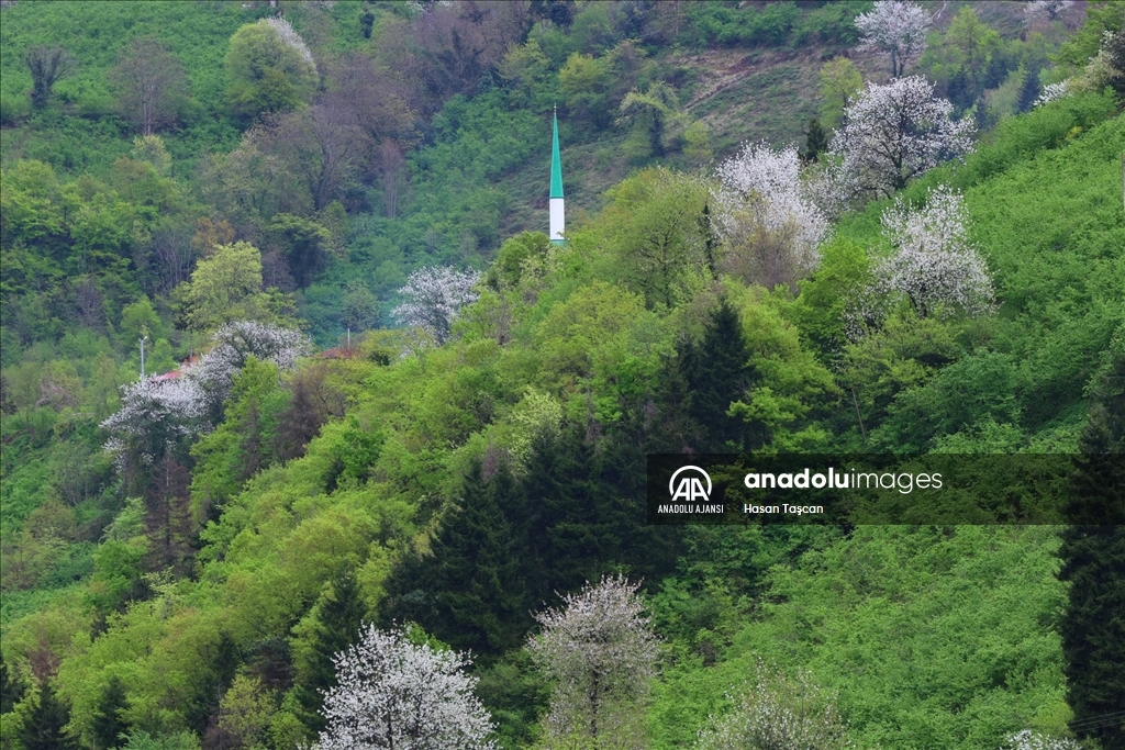 Trabzon bahar renklerine büründü