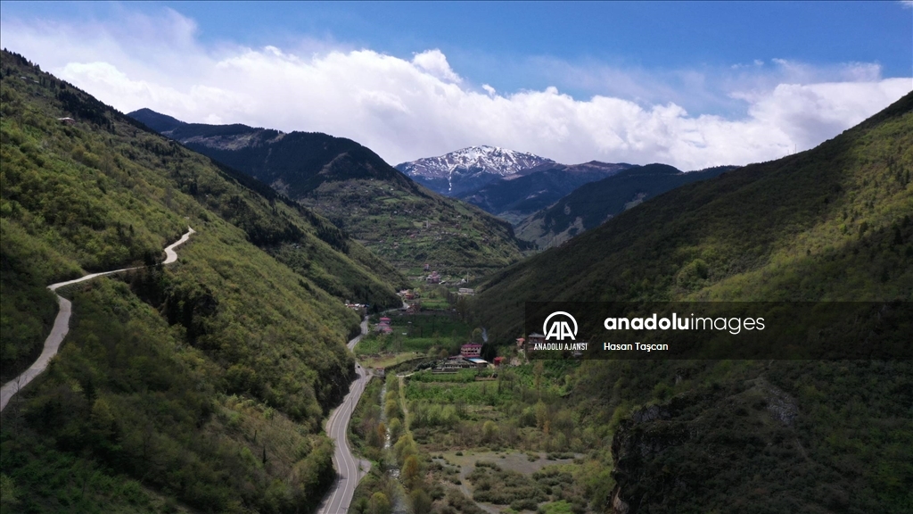 Trabzon bahar renklerine büründü