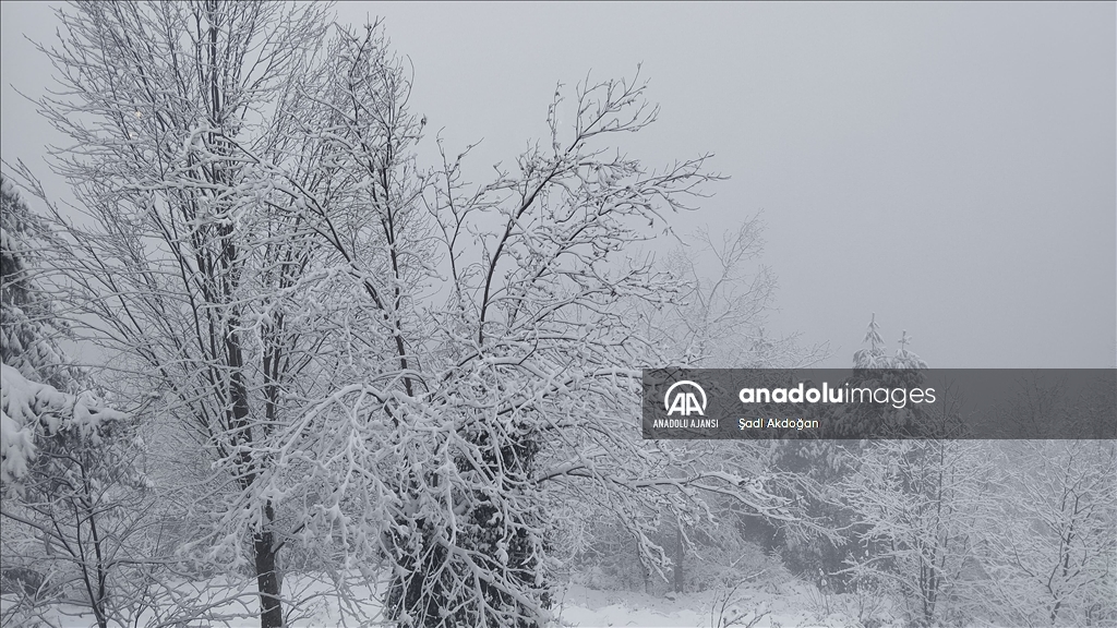 Kocaeli'nin yüksek kesimlerine kar yağdı