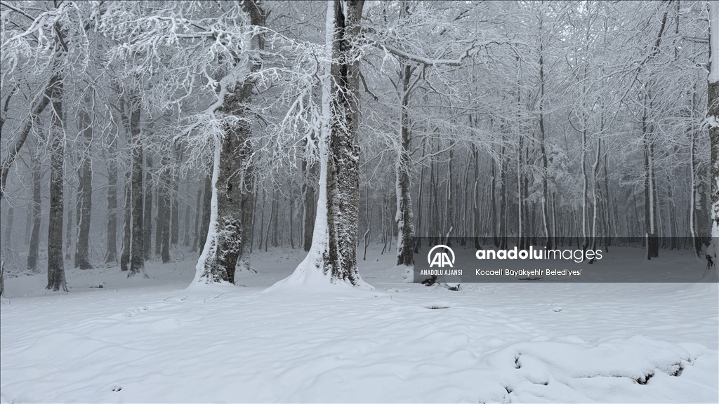 Kocaeli'nin yüksek kesimlerine kar yağdı