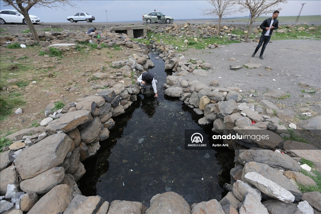 Volkanik dağın eteklerindeki "doğal akvaryum"da üç tür balık yaşıyor