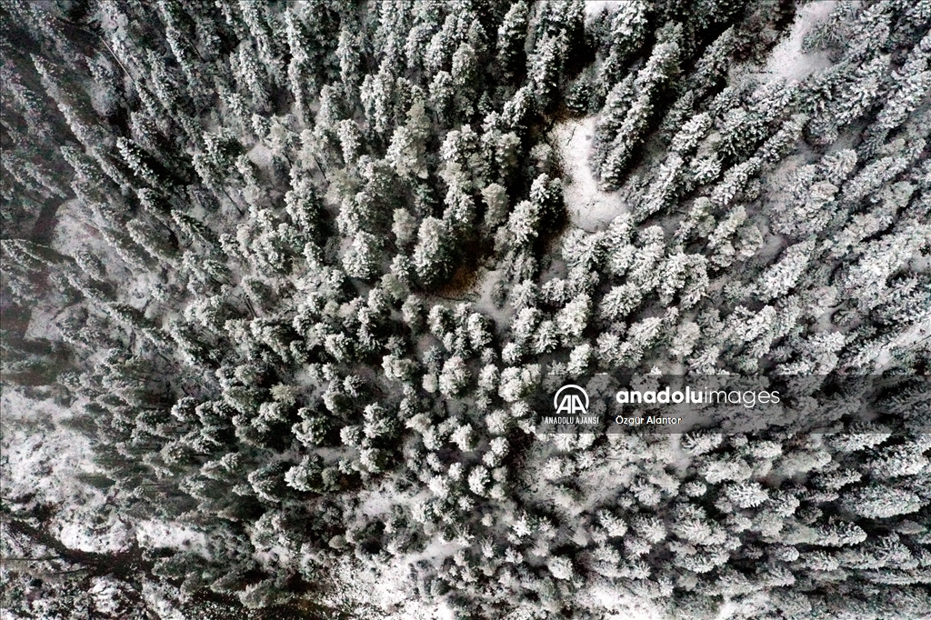 Ilgaz Dağı'nda kar yağışı