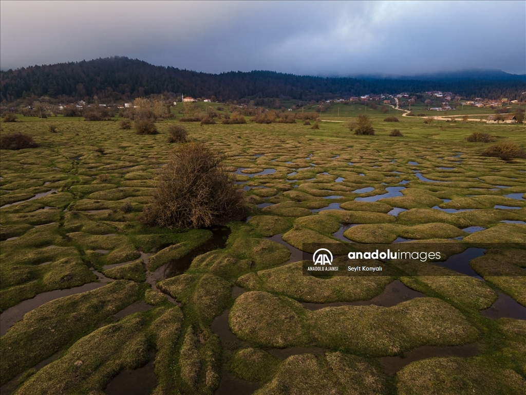 Karagöl Yaylası'ndaki menderesler