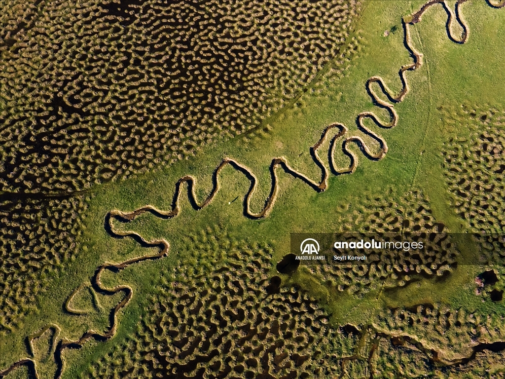 Karagöl Yaylası'ndaki menderesler