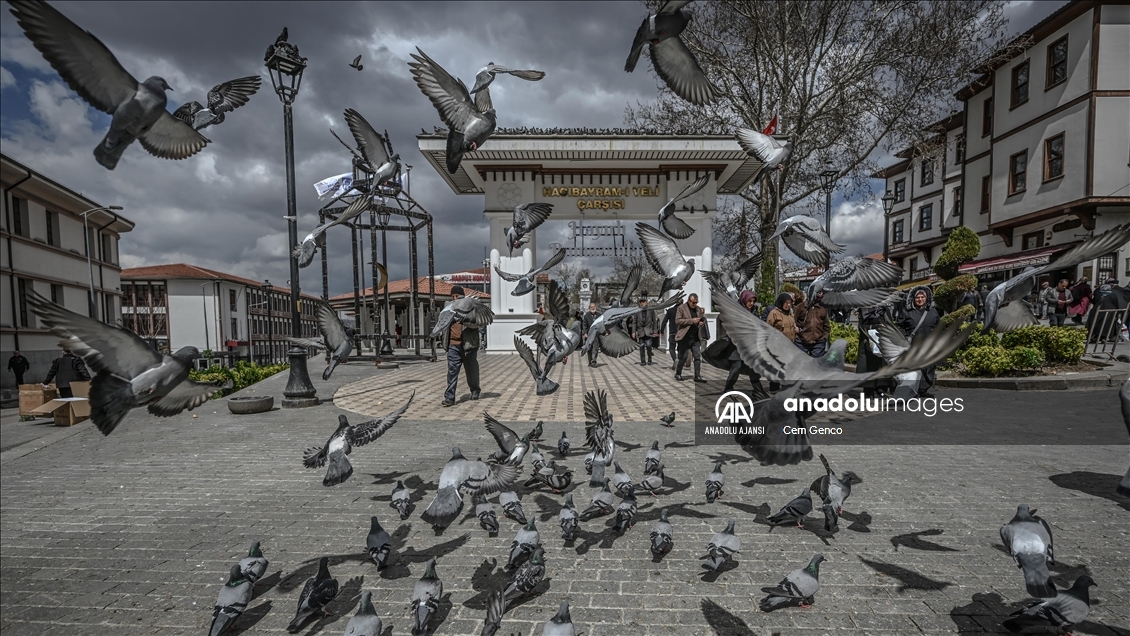 Ankara'nın "Kuş evleri"