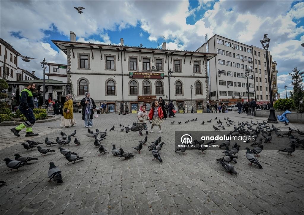 Ankara'nın "Kuş evleri"