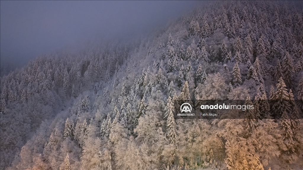 Snow blankets Lake Uzungol in Turkiye's Trabzon