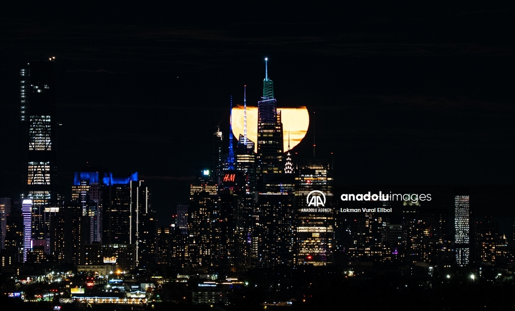 Pink Moon Rises in New York City