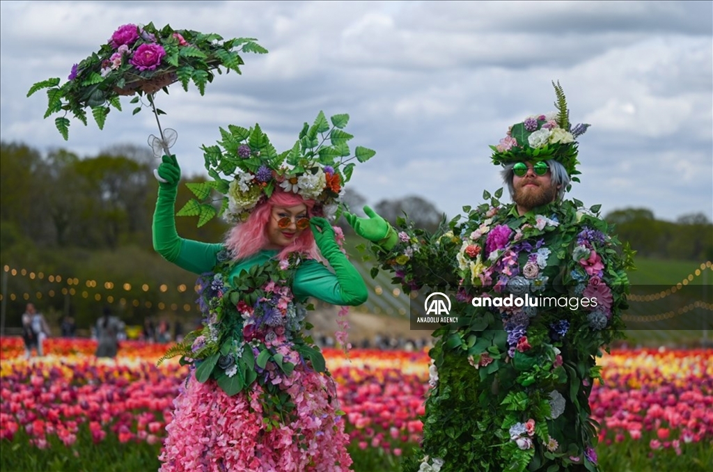 Festival Tulip Tulleys di West Sussex Inggris Raya