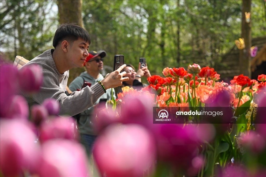 Festival Tulip Tulleys di West Sussex Inggris Raya