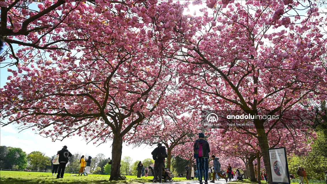 Londra'da ilkbahar