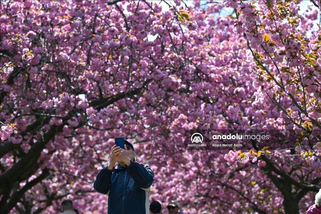 Londra'da ilkbahar