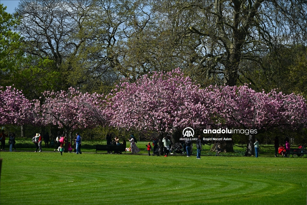 Londra'da ilkbahar