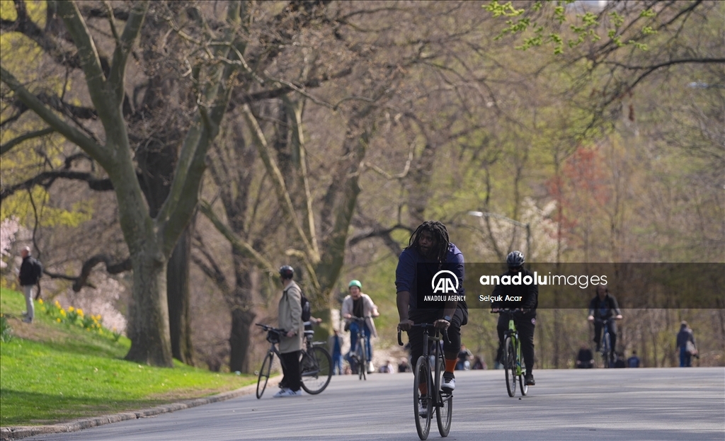 New Yorkers flock to parks to enjoy sunny spring weather