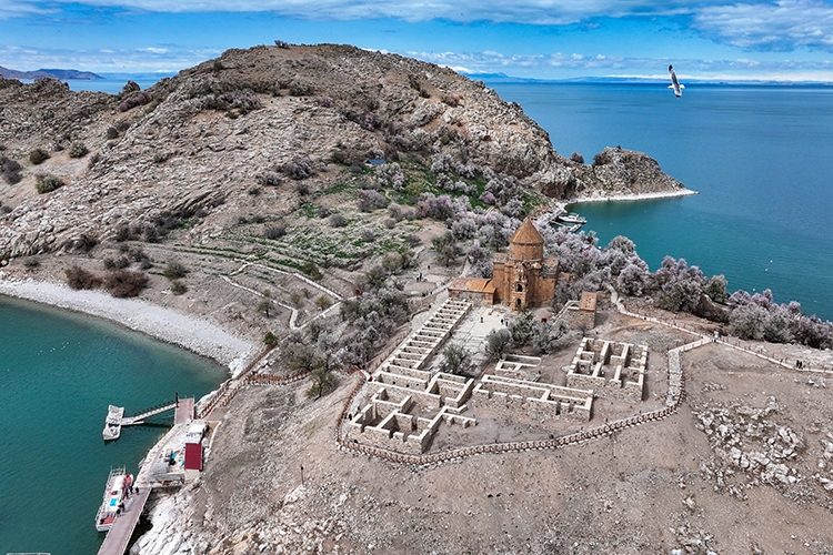 Baharın tonlarına bürünen Akdamar Adası "Badem Çiçeği Festivali"ne hazırlanıyor