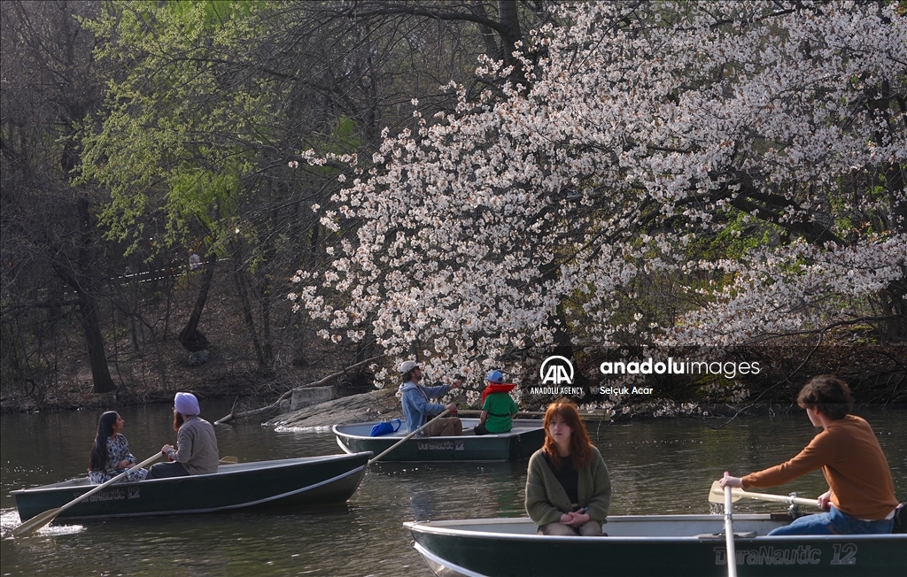 New Yorkers flock to parks to enjoy sunny spring weather