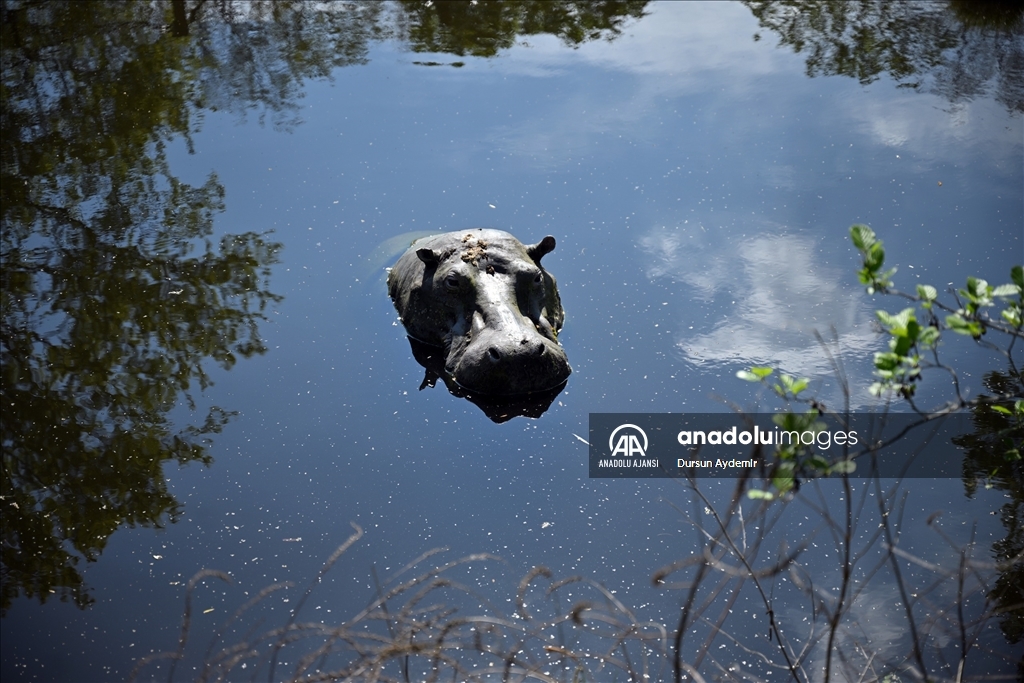 Planckendael Hayvanat Bahçesi paskalya tatilinde ziyaretçilerini ağırlıyor