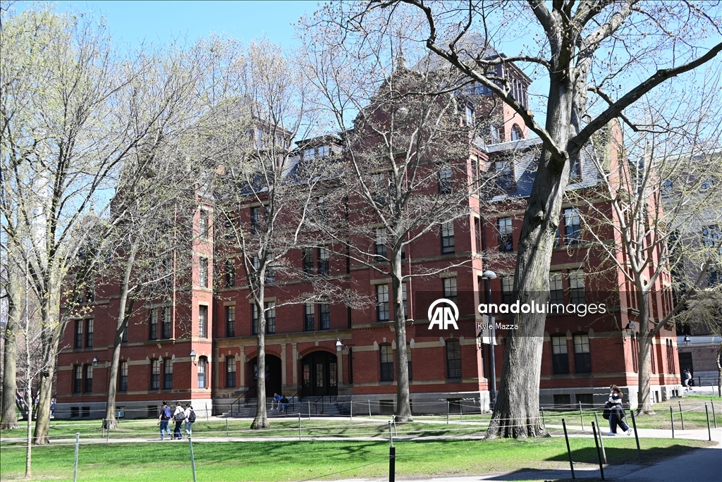 Гарвардский университет подал в суд на администрацию Трампа