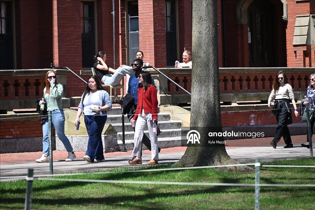 Гарвардский университет подал в суд на администрацию Трампа