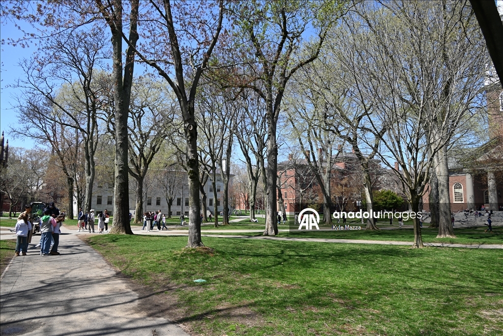 Гарвардский университет подал в суд на администрацию Трампа