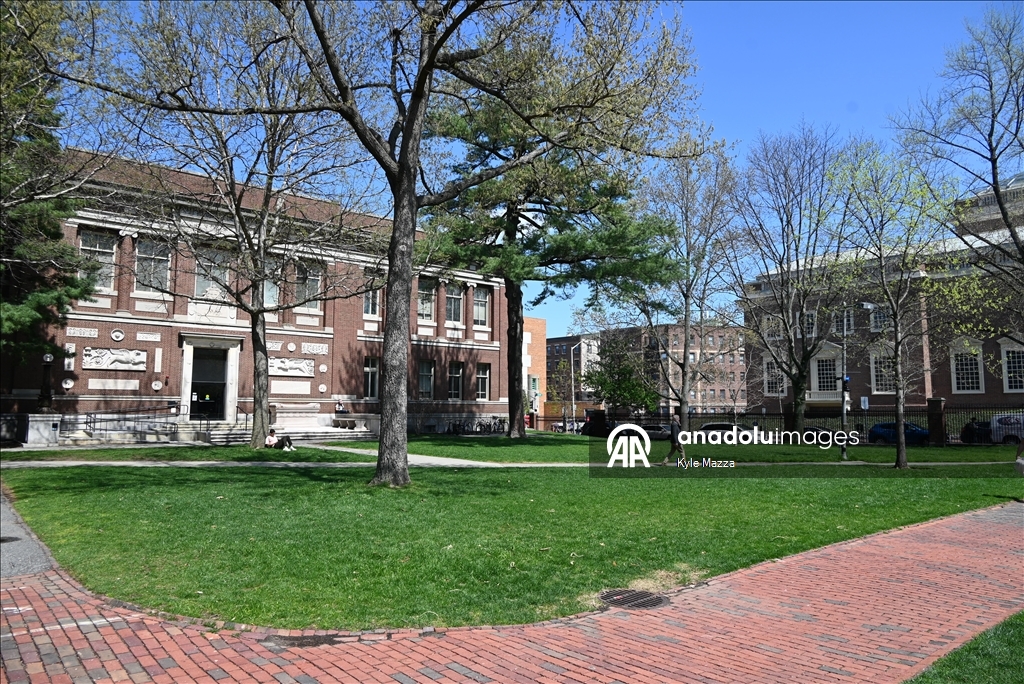 Гарвардский университет подал в суд на администрацию Трампа