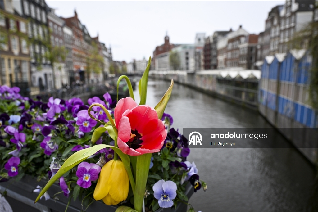 Нидерланды привлекают туристов со всего мира