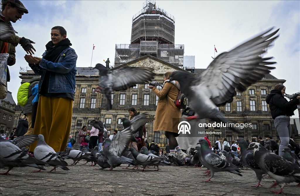 Нидерланды привлекают туристов со всего мира