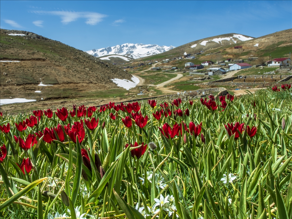 Spring colors adorn the Taurus Mountains in southern Turkiye