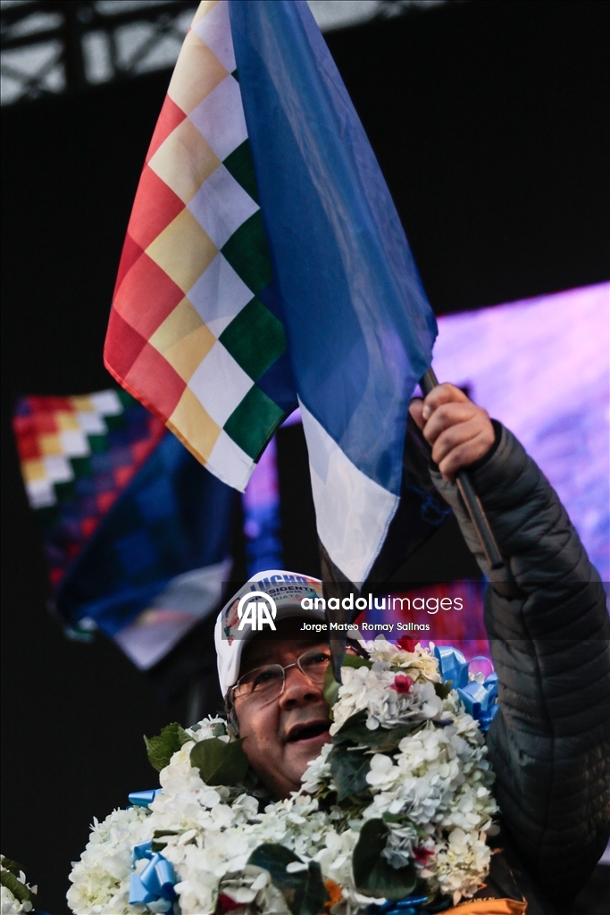 Президент Боливии Луис Арсе выдвинут кандидатом от партии «Движение к социализму» (MAS)