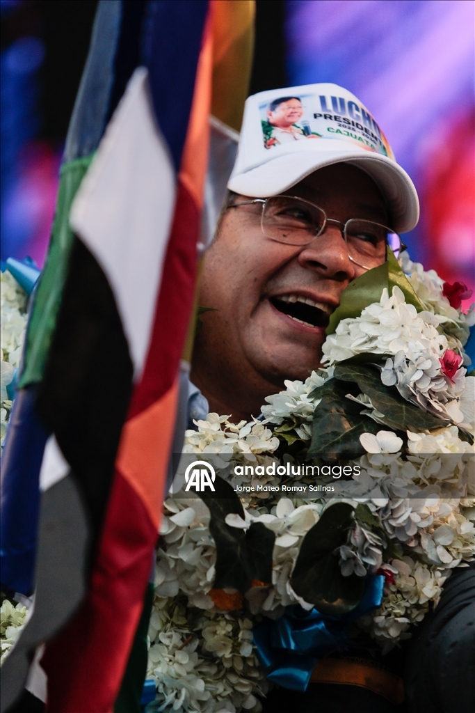 Президент Боливии Луис Арсе выдвинут кандидатом от партии «Движение к социализму» (MAS)