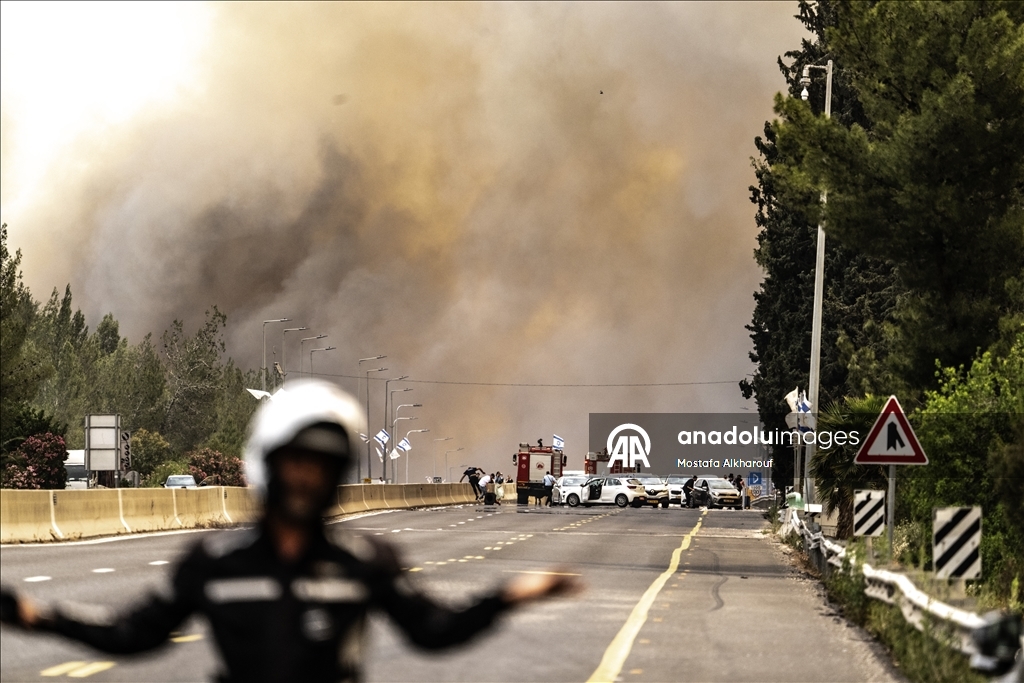 İsrail’de orman yangını