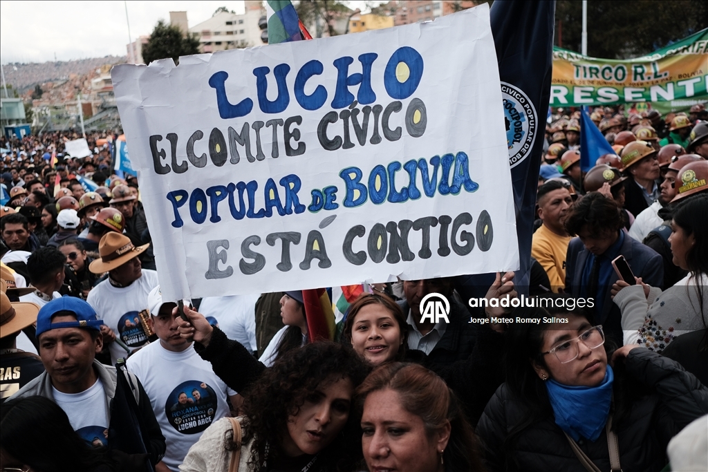 Президент Боливии Луис Арсе выдвинут кандидатом от партии «Движение к социализму» (MAS)