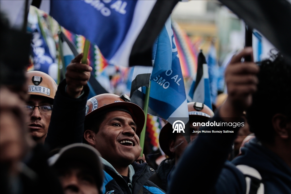 Президент Боливии Луис Арсе выдвинут кандидатом от партии «Движение к социализму» (MAS)