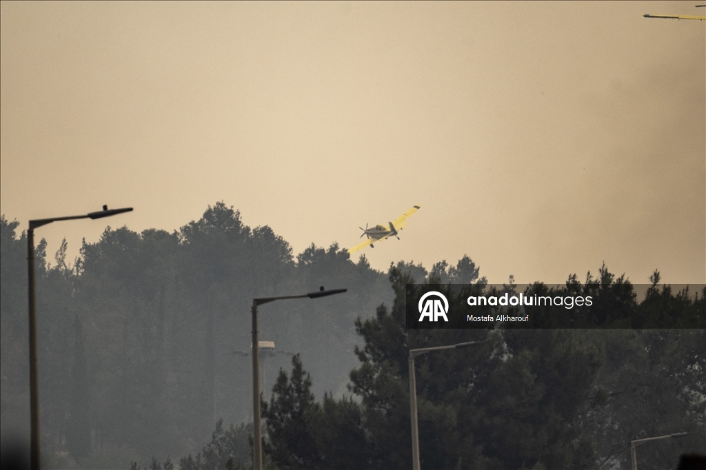 Wildfire breaks out between Tel Aviv and Jerusalem