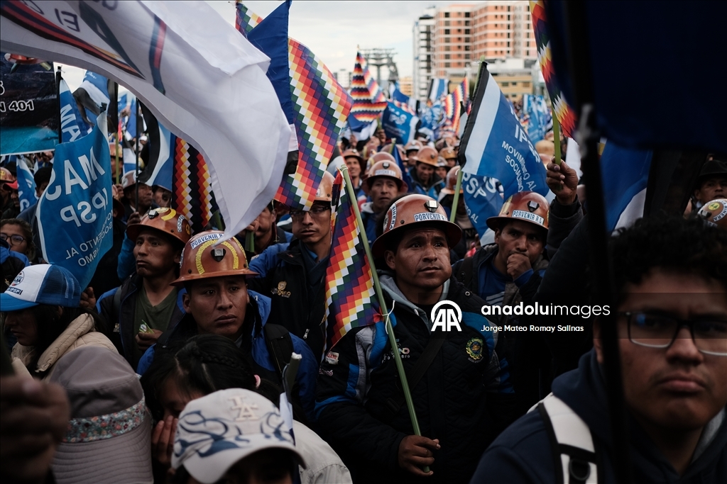 Президент Боливии Луис Арсе выдвинут кандидатом от партии «Движение к социализму» (MAS)