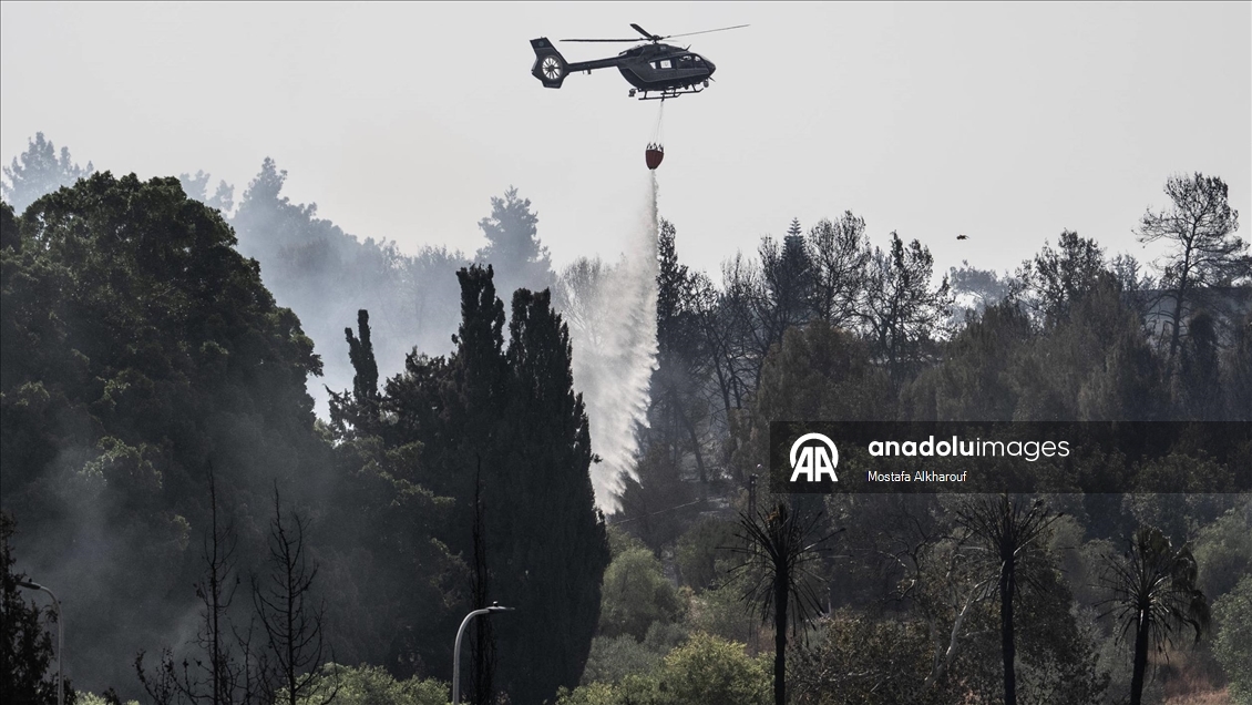 İsrail'de Kudüs ile Tel Aviv arasındaki ormanlık alanda çıkan yangınlar 11 noktada sürüyor