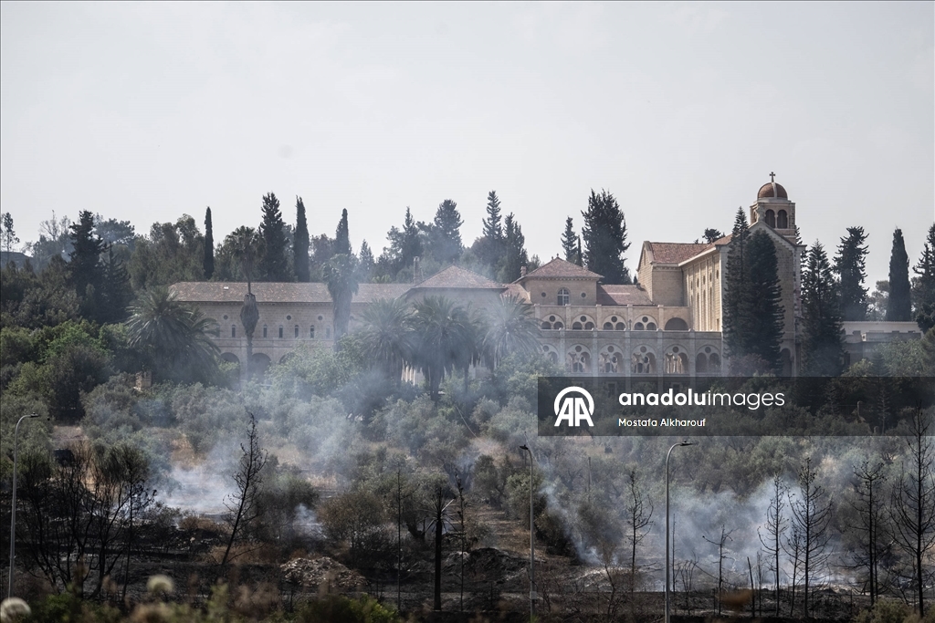 İsrail'de Kudüs ile Tel Aviv arasındaki ormanlık alanda çıkan yangınlar 11 noktada sürüyor