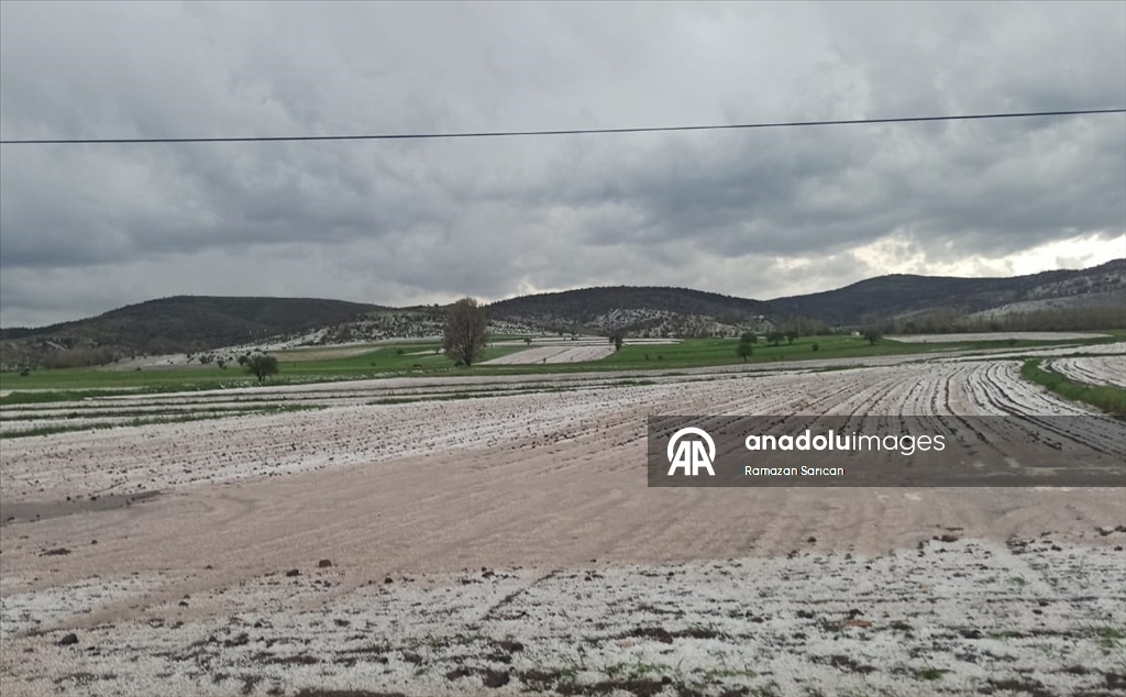 Tokat'ta dolu yağışı etkili oldu
