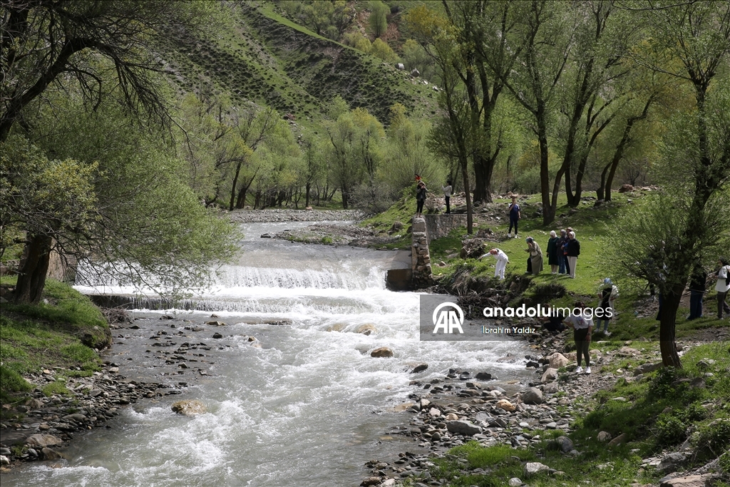 Siruşthez li nav bedewiyên Mûşa ku di rojekê da 4 demsal lê hene, geriyan
